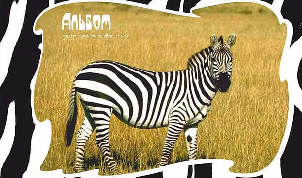 картинка Альбом для рисования, А4, 24 л, 180-200 г/м2, на завязках, ассорти, "Экзотические животные", УРБ от магазина Альфанит в Кунгуре