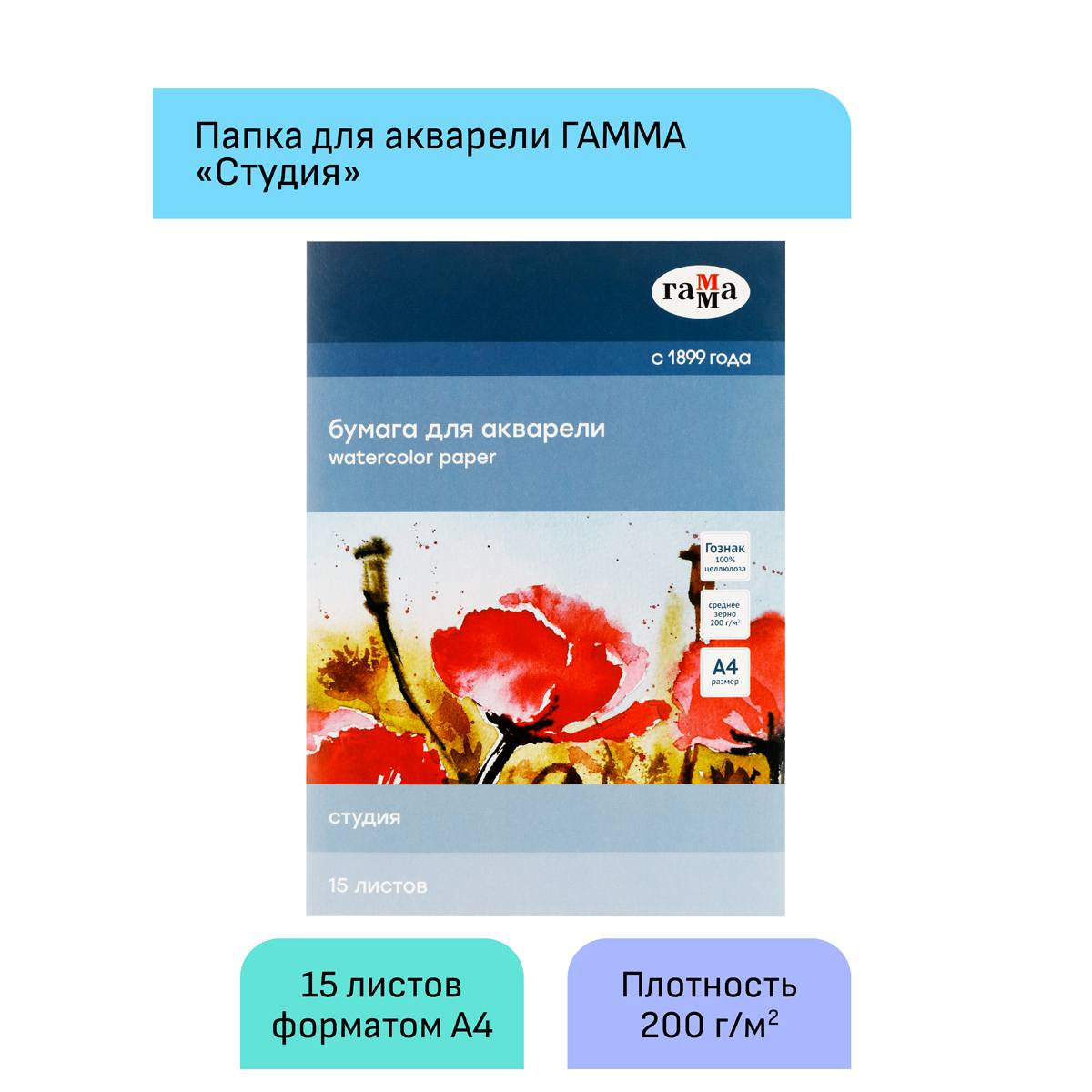 картинка Папка для акварели, А4, 15 л, 200 г/м2, среднее зерно, "Студия", Гамма, 40C03F715W от магазина Альфанит в Кунгуре